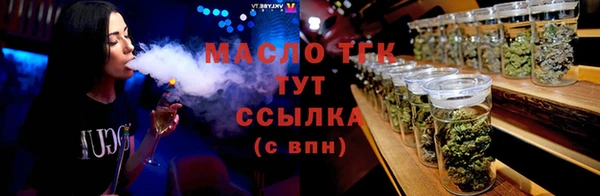 мдпв Инсар