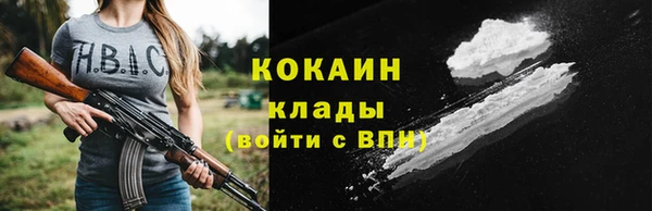 гидра Липки
