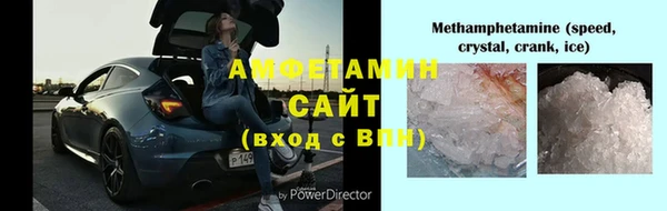 мдпв Инсар