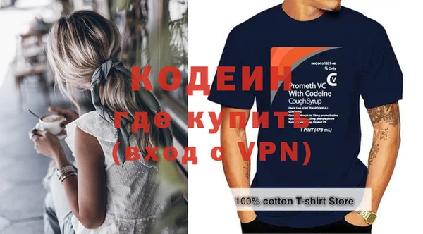 индика Нижний Тагил