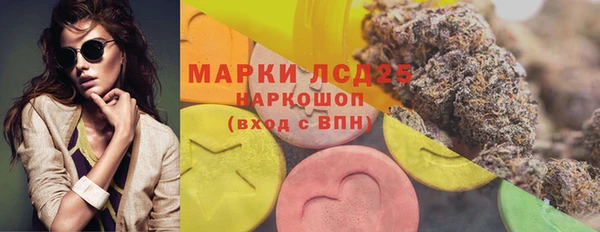 гидра Липки